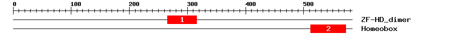 Signature Domain