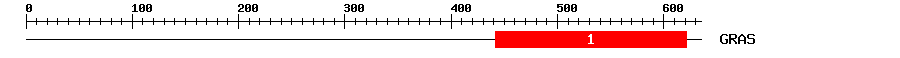 Signature Domain