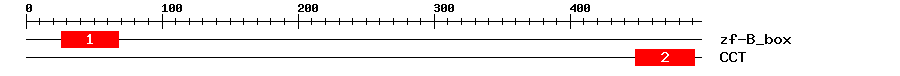 Signature Domain
