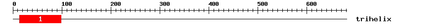 Signature Domain