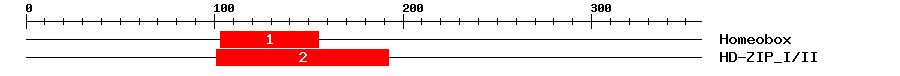Signature Domain