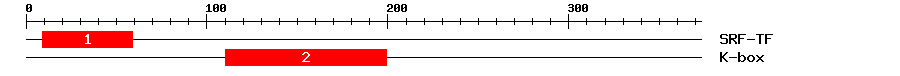 Signature Domain