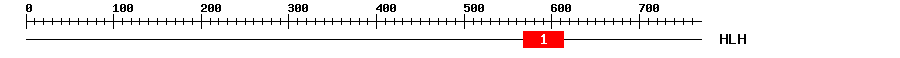 Signature Domain