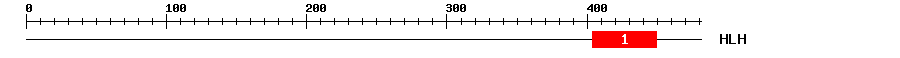 Signature Domain