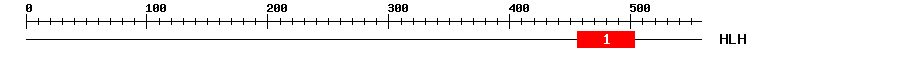 Signature Domain