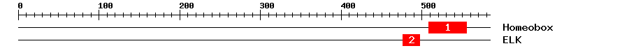 Signature Domain