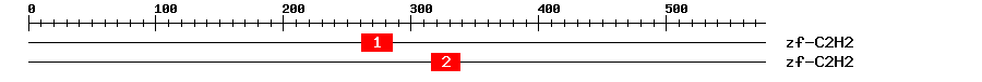 Signature Domain