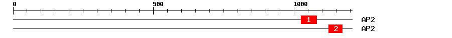 Signature Domain