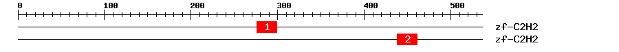 Signature Domain