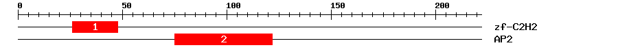 Signature Domain