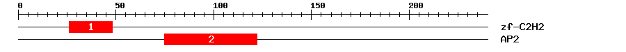 Signature Domain
