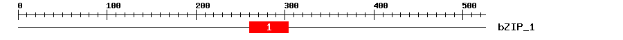 Signature Domain