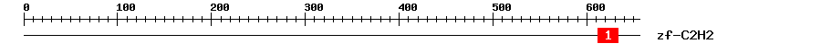 Signature Domain