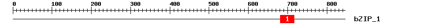Signature Domain
