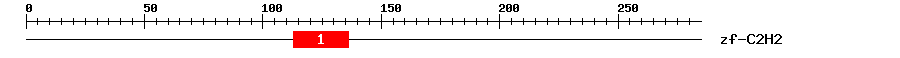 Signature Domain
