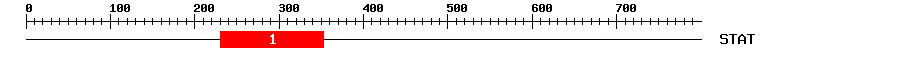 Signature Domain