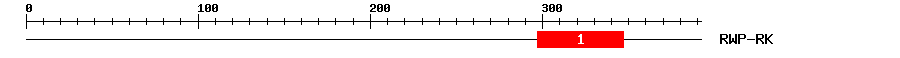 Signature Domain