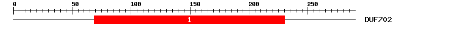 Signature Domain