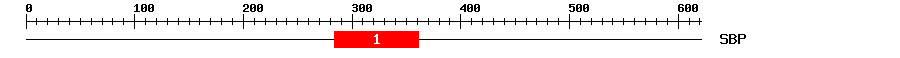 Signature Domain