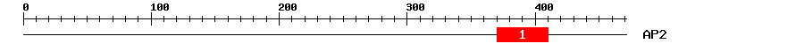 Signature Domain