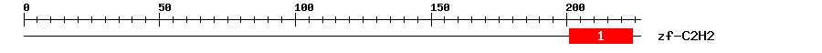 Signature Domain