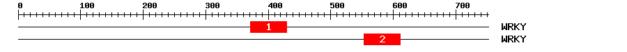 Signature Domain