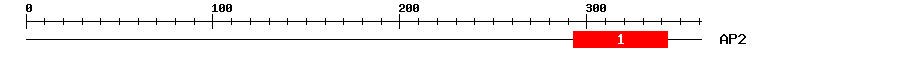 Signature Domain