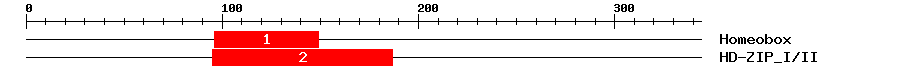 Signature Domain