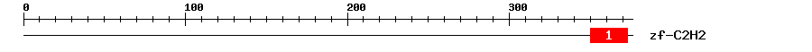 Signature Domain