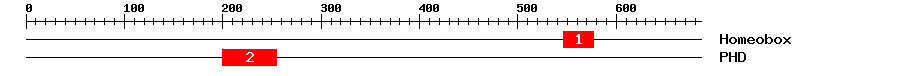 Signature Domain
