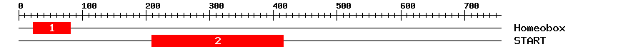 Signature Domain