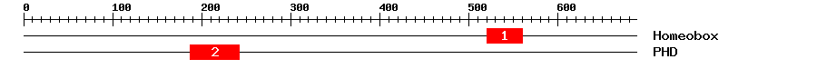 Signature Domain
