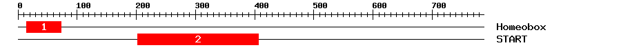 Signature Domain