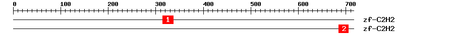 Signature Domain