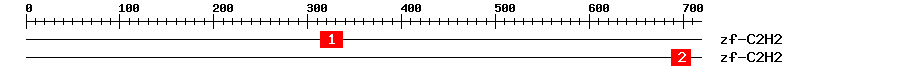 Signature Domain