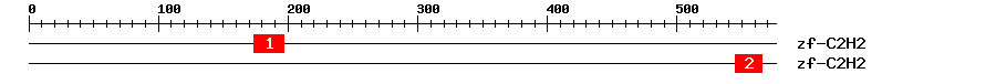 Signature Domain