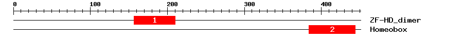 Signature Domain