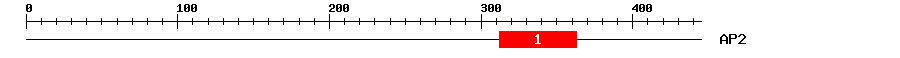 Signature Domain