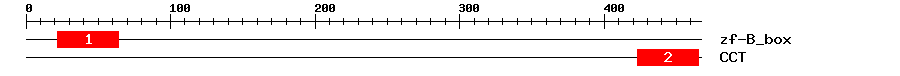 Signature Domain