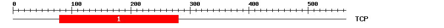 Signature Domain