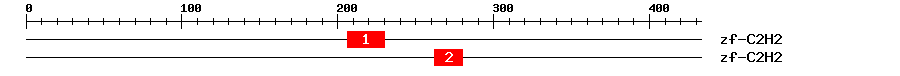 Signature Domain
