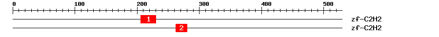 Signature Domain