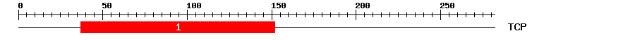 Signature Domain