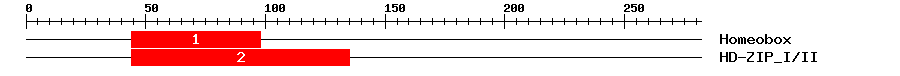 Signature Domain