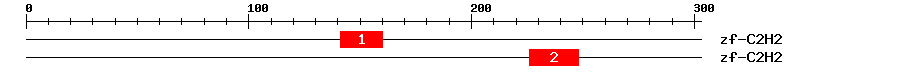Signature Domain
