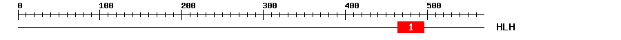 Signature Domain