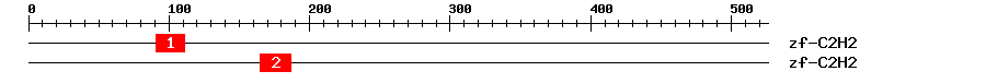 Signature Domain