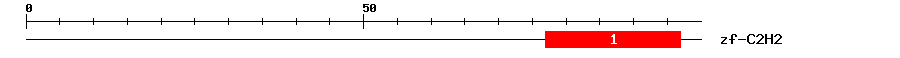 Signature Domain