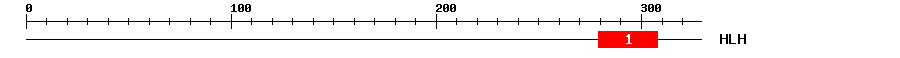 Signature Domain