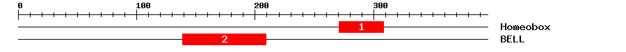 Signature Domain